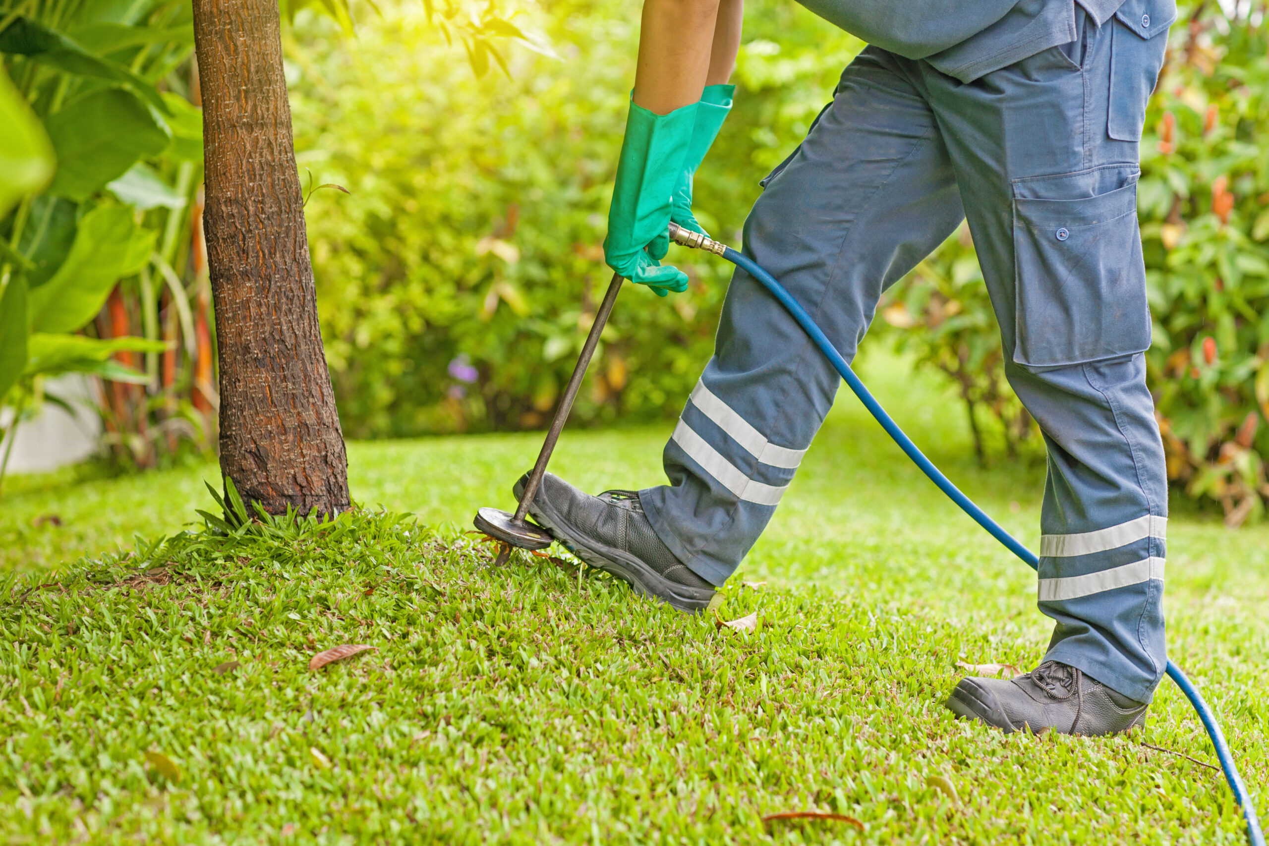 Termite control by using chemicals injected into the soil