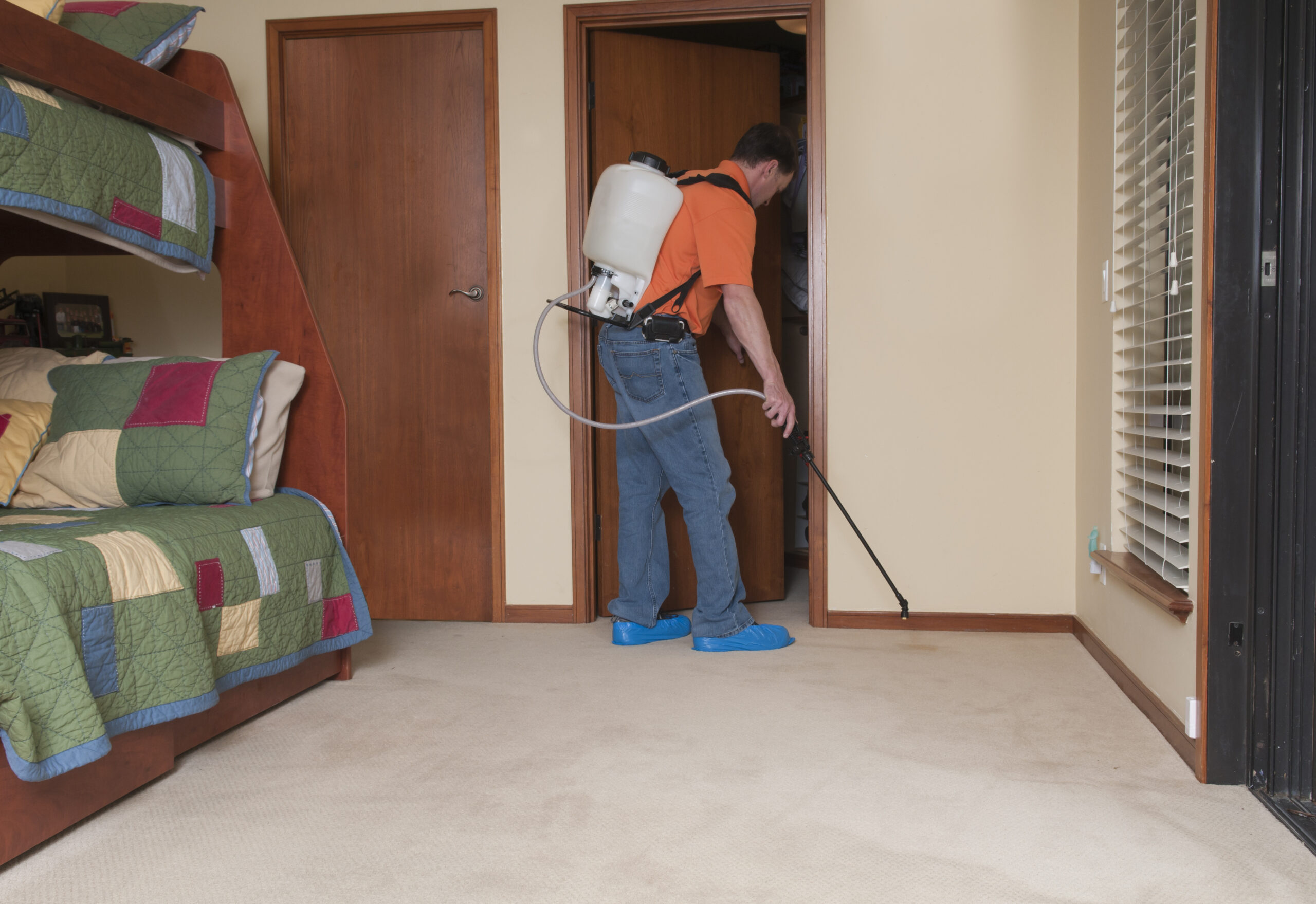 Man spraying a carpet.  Could be cleaner or insecticide or other special indoor spray.